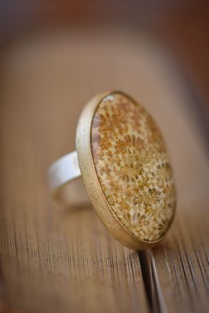 Arya ring FOSSIL CORAL